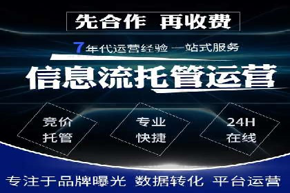 谷歌SEM广告策略：某电商平台的成功逆袭案例
